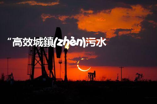 “高效城鎮(zhèn)污水處理流程，守護碧水藍天新篇章”
